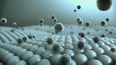 Coronavirus hücrelere saldırır