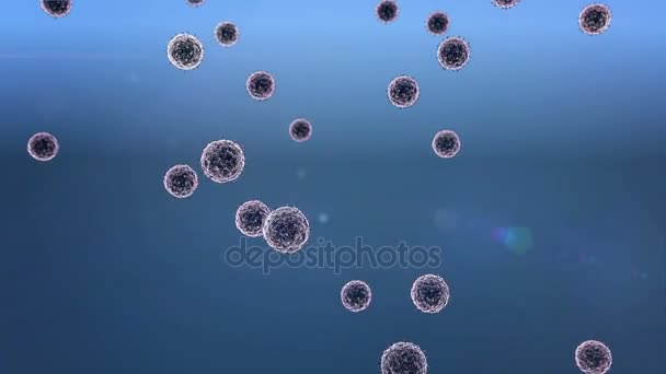 Células coronavírus e linfócitos — Vídeo de Stock