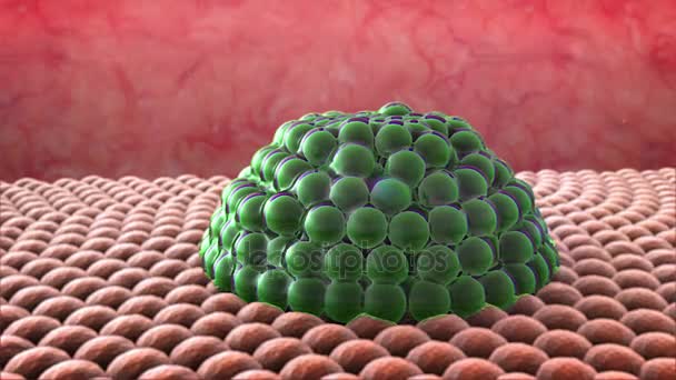 Proliferación de células cancerosas — Vídeo de stock