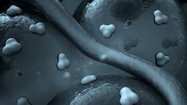 hücre yüzeyinde protein