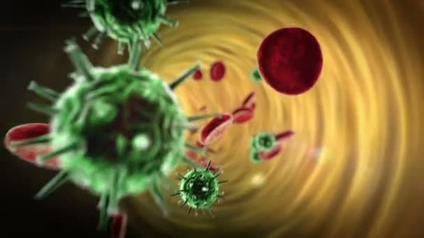 Coronavirus in het bloed — Stockvideo