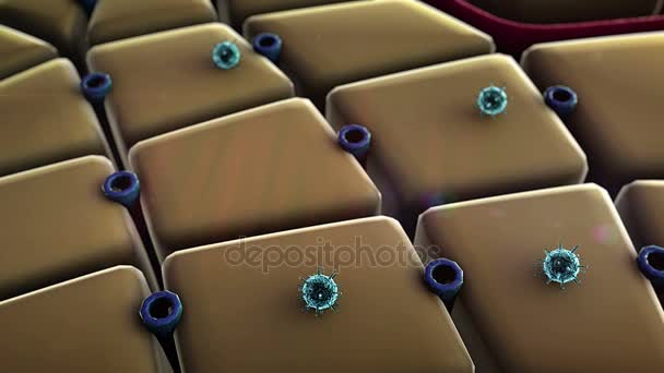 * * CEP   Comité d'examen par les pairs