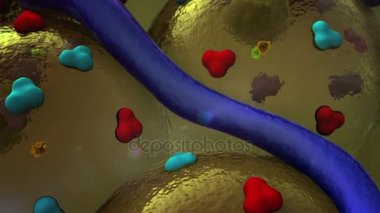 yağ hücreleri üzerinde reseptörleri