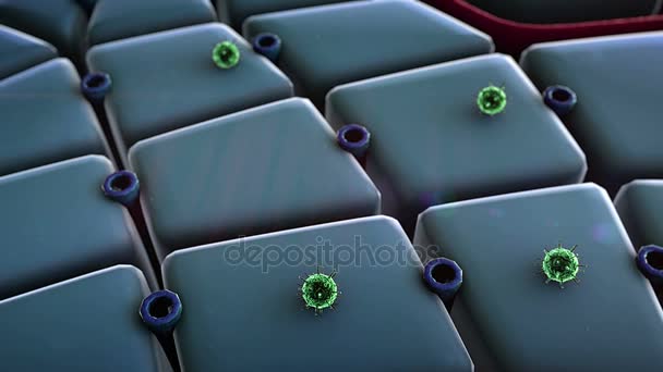 * * CEP   Comité d'examen par les pairs