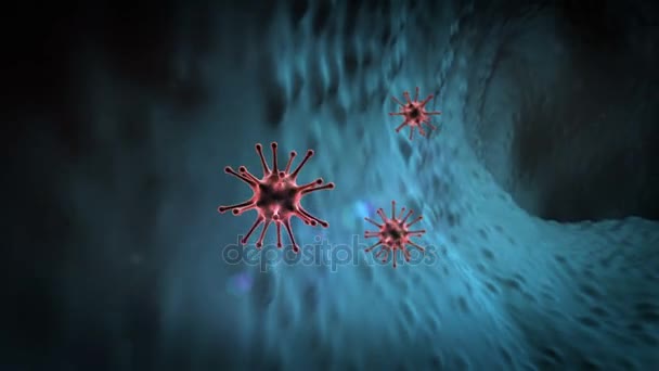 Protilátky napadají koronavirus — Stock video