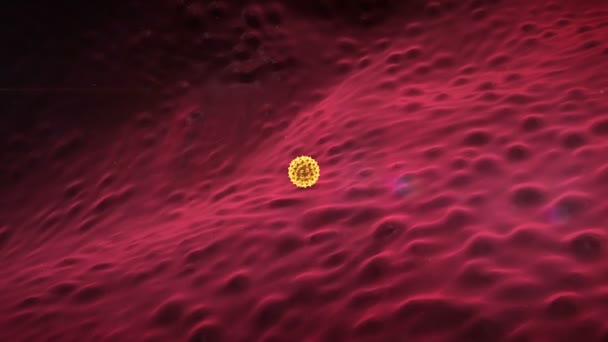 * * CEP   Comité d'examen par les pairs