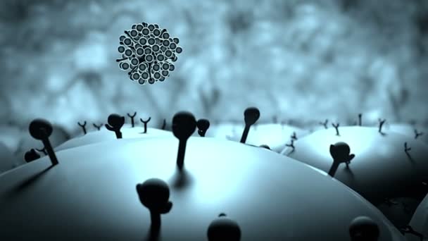 Coronavirus atack la cellula polmonare, sistema immunitario umano attaccare il virus — Video Stock