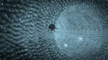 Kanında koronavirüs.