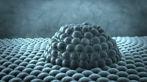 Komórki pod mikroskopem — Wideo stockowe