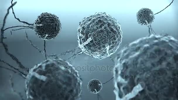 Makrofajlar ve hücre — Stok video