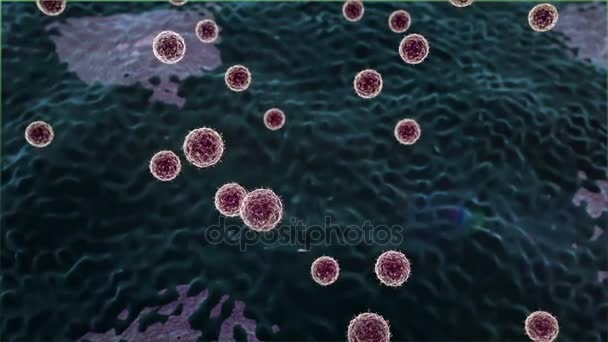 Virus angripna av lymfocyter, Coronavirus atack lungcellerna — Stockvideo