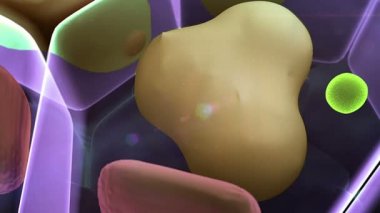 bir hücre içinde kolesterol