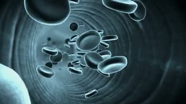 抗体と血液中の赤血球 — ストック動画