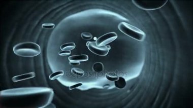 damar, damar içinde kan, kan hücrelerinin yüksek kaliteli 3d render, ven, kolesterol insude yağlı plaklar eritrosit içinde kan damarları