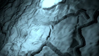Ayrıntılı, Helicobacter Pylori, bakteriler bakteri, organik bir yüzey, bakteri ve nedenleri salmonellozis kültür bakteri ve gıda zehirlenmesi, Ebola virüsü canlı canlı