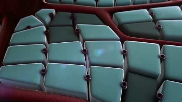 coronavirus pénètre dans la cellule, virus s'attaque aux cellules, coronavirus s'attaque aux cellules des poumons, structure du foie, surface du foie, processus d'infection des cellules, virus dans les poumons