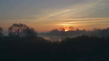 sabah sis gündoğumu, sunrise bir göl üzerinde meşe grove, nehir, gündoğumu gölde, sunrise meşe ağacı sonbahar Nehri gündoğumu bir ağaca silüeti üzerinde gündoğumu gölde üzerinde