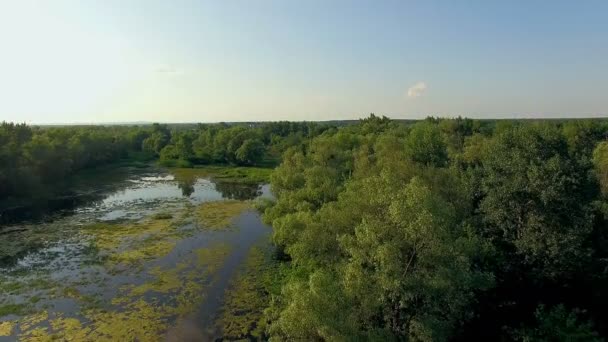 Flygfoto Över Floden Vid Solnedgången Floden Kvällen Flyger Över Floden — Stockvideo