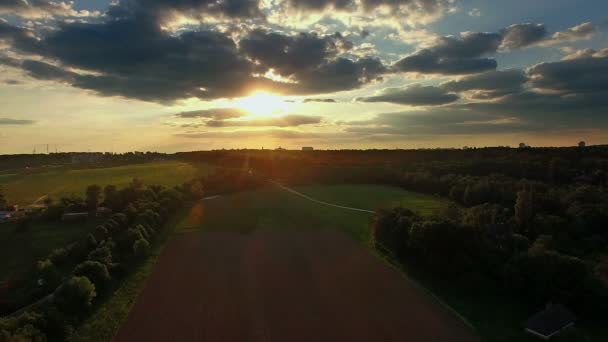 Volare Sul Campo Arato Tramonto Volare All Indietro Sui Campi — Video Stock