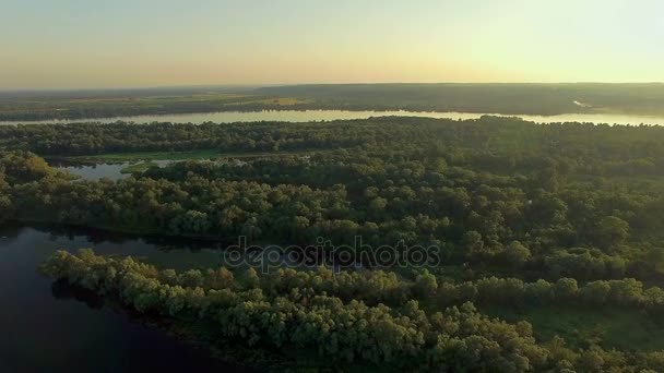 Luchtfoto Van Rivier Bij Zonsondergang Rivier Avond Vliegen Bomen Rivier — Stockvideo