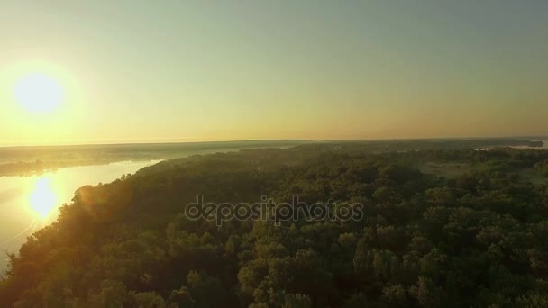 Luchtfoto Van Rivier Bij Zonsopgang Bos Rivier Ochtend Nevel Zeer — Stockvideo