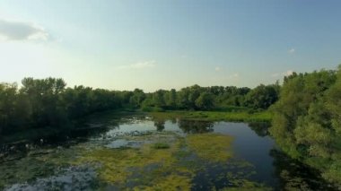 gün batımı 4 k, akşamları, nehir Nehri'nin havadan görünümü ile güneş batımında nehir yeşil ağaçların üzerinden uçan