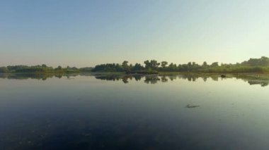 Nehri üzerinde eski ağaç gövdesi üzerinde sinek, 4k hava eski ağaç yosun ağaç gövdesi ve nehir kıyısına bir tekne ile büyümüş riverbank görüntüleyin