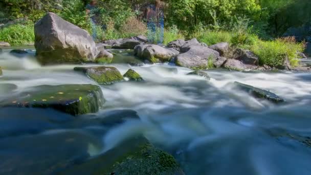 森林溪流时间流逝 溪流水和绿色苔藓岩石 山涧时间流逝 水流迅速流过急流 模糊的白水流和绿色苔藓岩石的时间流逝 — 图库视频影像