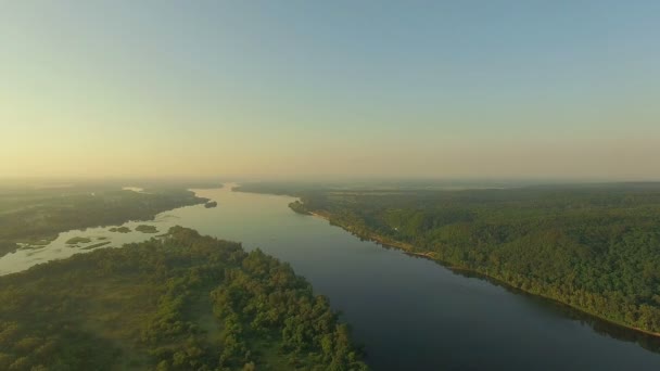 鸟瞰河在日出 森林和河流在清晨的薄雾 非常高的看法 在日出的河流森林 在日出的神秘河鸟瞰与雾 太阳以上的河流天线 — 图库视频影像