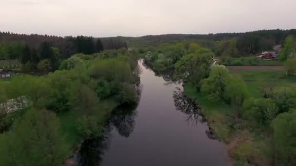 日落4K 河的鸟瞰图 傍晚的河水 在夕阳下飞过河上绿树 — 图库视频影像