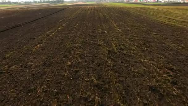 Voo Sobre Campo Semeado Vista Aérea Arado Arado Campo Agrícola — Vídeo de Stock