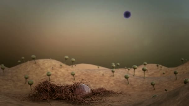 spores de moisissure, spores de champignon, champignon sur la surface du cuir, champignon libère des spores, paysage de micromonde, spores tombées sur la surface du cuir 