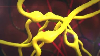 Ağ, üriner sistem, insan iç Organ neurons ve sinir sistemi, etkin sinir hücresi nöron video render 3d insan sinir sistemi, nöron dürtüler, nöron hücrelerindeki hücre