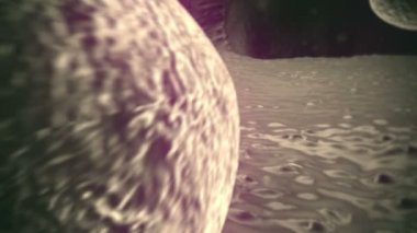 mide yağ hücresi, mide yağ hücre ile