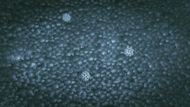Yağ Hücre Makrofaj Yağ Hücreleri Yağ Hücrelerinin Yüksek Kaliteli Render — Stok video