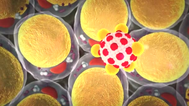 Fat Cell Macrophage Field Fat Cells High Quality Render Fat — Stock Video