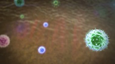 Coronavirus akciğer hücrelerine saldırır, tıbbi video geçmişi, virüs grubu, virüs saldırısı, Phagocyite, Fagocytosis, fagosit virüsleri öldürür.
