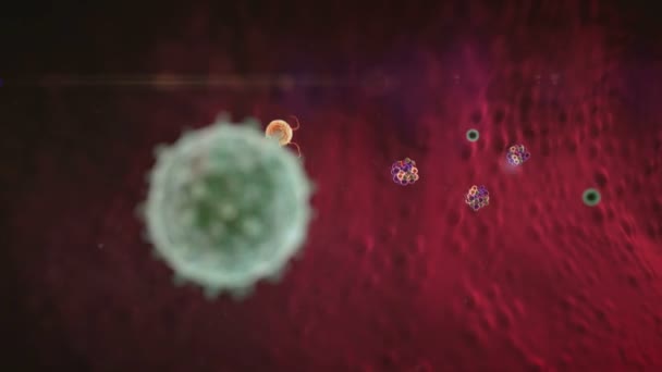 リンパ球は抗体を生成しウイルスに対するリンパ球はコロナウイルスが肺細胞を攻撃する — ストック動画