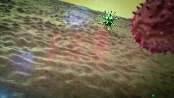 Makrofágy Koronaviry Makrofágy Zabíjí Viry Vykreslené Makrofágy Viry Uvnitř Lidského — Stock video