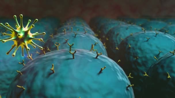 Coronavirus Greift Die Lungenzellen Das Feld Der Zellen Mit Rezeptoren — Stockvideo