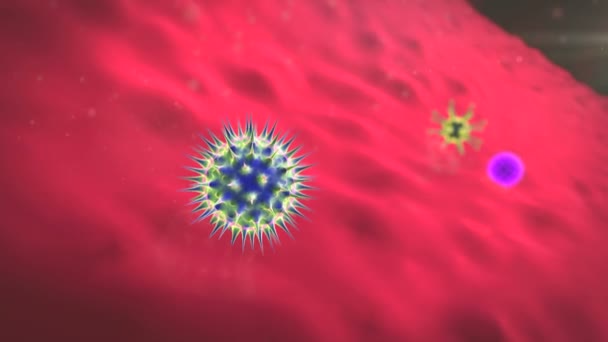 Makrofágy Koronaviry Makrofágy Zabíjí Viry Vykreslené Makrofágy Viry Uvnitř Lidského — Stock video