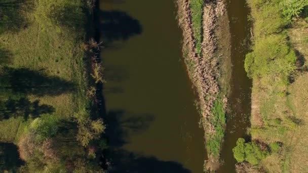 Volar Sobre Río Bosque Vista Aérea Del Pequeño Río Volando — Vídeos de Stock