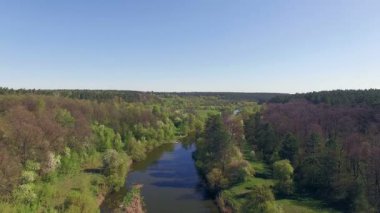 Orman Nehri üzerinde 4 k havadan görünümü küçük nehir, nehir üzerinde uçan uçmak