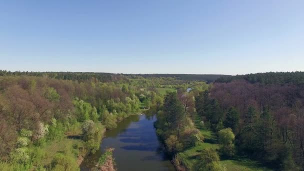 survoler la rivière forestière, 4K Vue aérienne de la petite rivière, survoler la rivière 