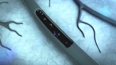 kan damarları, eritrosit, arter arter gösterildiği bölüm dışarı bir kesim, damarlarında kan pıhtısı ile yağ hücre damar içinde kan yüksek kalite 3d render kan hücrelerinin