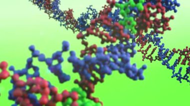 DNA yakın çekim, Dna molekül modeli, Dna dizilerini, Dna animasyon