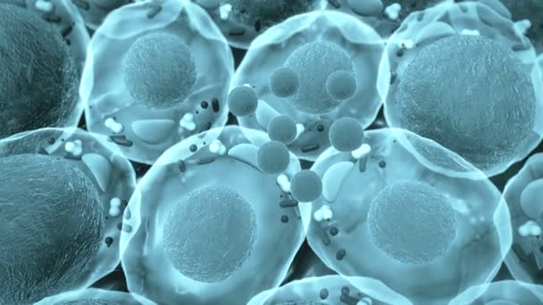 cholestérol, structure cellulaire, rendu 3D de haute qualité des cellules graisseuses, cholestérol dans une cellule, champ de cellules, division cellulaire, image microscopique des cellules, cellules, fond vidéo médical 