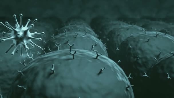 Attaque Virus Coronavirus Attaque Cellule Virus Dans Corps Humain — Video