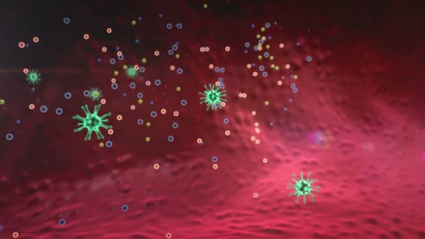 Macrofagi Coronavirus Macrofagi Uccidono Virus Macrofagi Virus Resi All Interno — Video Stock