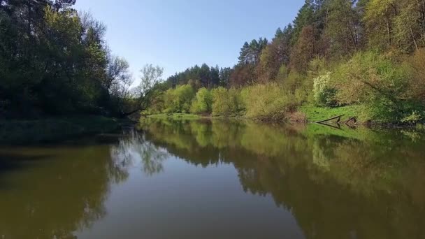 Orman Nehri Üzerinde Havadan Görünümü Küçük Nehir Nehir Üzerinde Uçan — Stok video